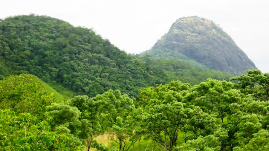 Togo : le PNUD a injecté plus de 2 milliards FCFA dans la biodiversité en 2020