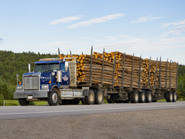 Wood importation in Togo: What you need to know