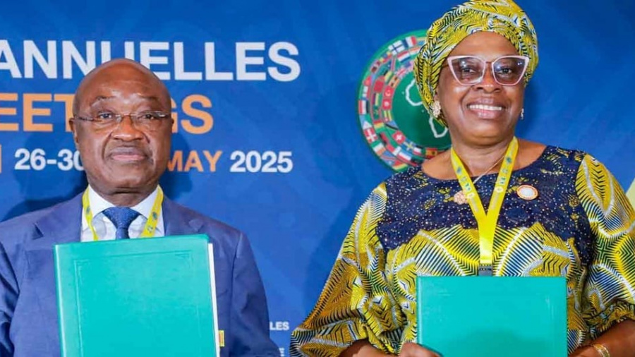 Agro-industrie : le Togo mobilise 39 millions $ de la BAD