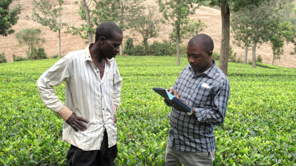 Togo : la FAO d&eacute;ploie l&rsquo;outil RuralInvest pour faciliter le financement des projets agricoles