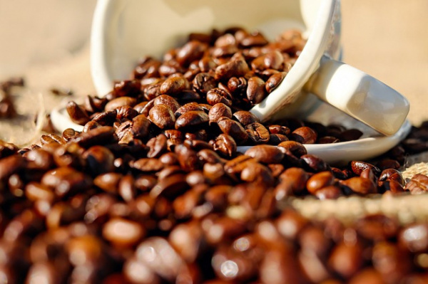 Coffee: Lomé hosts the IACO’s annual meetings this year