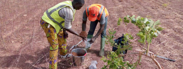 Fertitogo, la carte de fertilité des sols au Togo