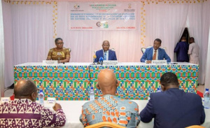 &Eacute;lections : la HAAC appelle les m&eacute;dias publics &agrave; un traitement impartial des diff&eacute;rents candidats