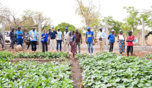 EU, UN review Togo farm input project, cite gains in the north