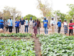 EU, UN review Togo farm input project, cite gains in the north