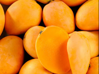 togo-will-pump-cfa1-715-billion-in-the-mango-sector-in-2024-2028