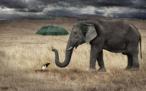 Financement de l&rsquo;Afrique&nbsp;: qui a peur de la dette africaine&nbsp;?