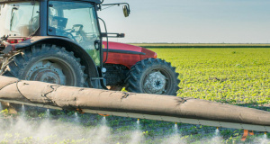 Togo : la BOAD appuie un programme de s&eacute;curit&eacute; alimentaire &agrave; hauteur de 10 milliards FCFA