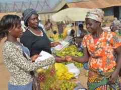 Togo: the Decentralization and Local Governance Program (ProGeGoL) comes to its end