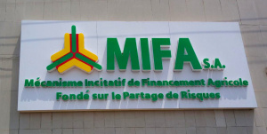 Togo: The MIFA is two years old