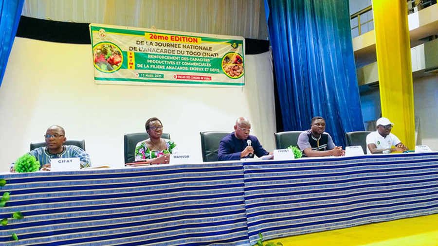 Au Togo, les producteurs de l’anacarde demandent l’évaluation de la filière