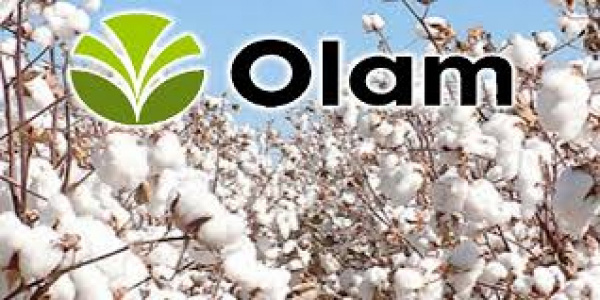 Olam acquires 51% of Togo&#039;s Cotton Company