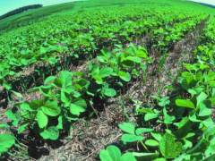 BOAD and Green Climate Fund work on new ways to boost agricultural financing in WAEMU