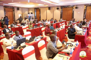 R&eacute;union de l&rsquo;AREI : la BAD invite le Togo et d&rsquo;autres Etats &agrave; recourir &agrave; ses instruments de financement des &eacute;nergies renouvelables