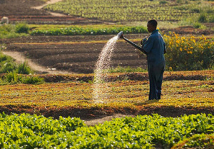 Le PNPER s&rsquo;auto-&eacute;value pour un impact plus efficient
