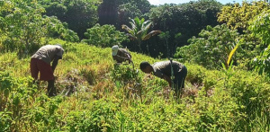 Togo : le M&eacute;canisme For&ecirc;ts et paysans de la FAO &eacute;value ses avanc&eacute;es