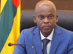 Ministry of Foreign Affairs launches a High Council for the Diaspora