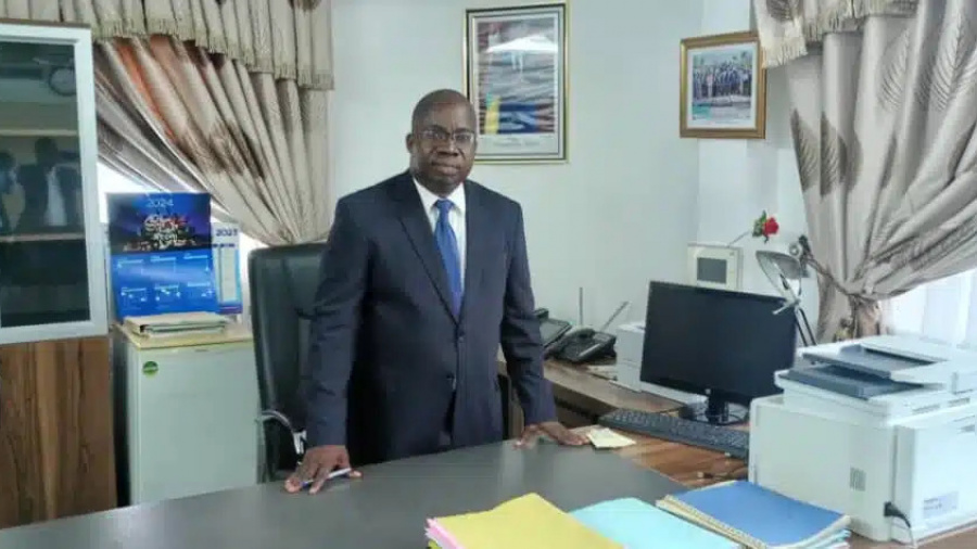 Statistiques nationales : Gentry Akoly prend les rênes de l’INSEED Togo