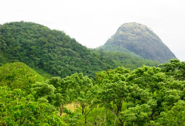 Togo : India injects $1M in biodiversity preservation project at the Fazao-Malfakassa national park