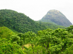 Togo : India injects $1M in biodiversity preservation project at the Fazao-Malfakassa national park