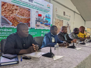 Togo : les acteurs du Soja se remobilisent, en pr&eacute;lude &agrave; la nouvelle campagne de commercialisation