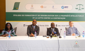 Togo holds three-day training on intellectual property enforcement