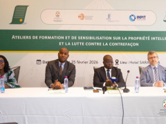 Togo holds three-day training on intellectual property enforcement