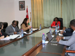 Togo: US ambassador and minister of investment promotion talk cooperation
