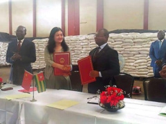 Togo receives CFA1.6B Chinese rice donation to support food security