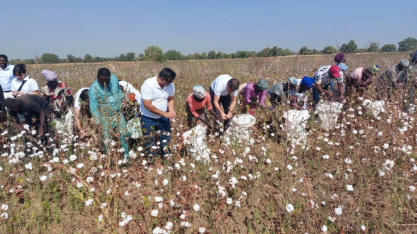 Togo: lancement de la campagne 2022-2023 de commercialisation du coton