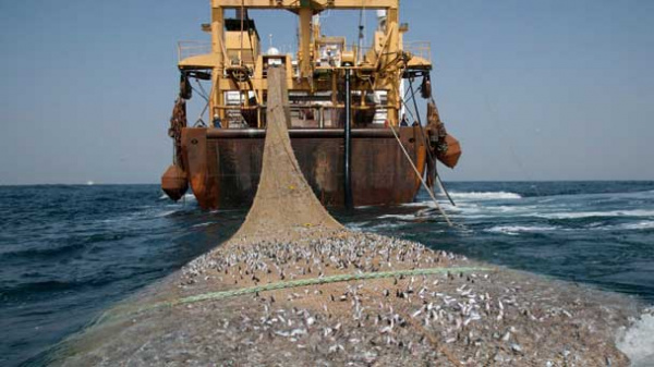 Pêche illicite : les pays du Golfe de Guinée affinent leur stratégie régionale à Lomé
