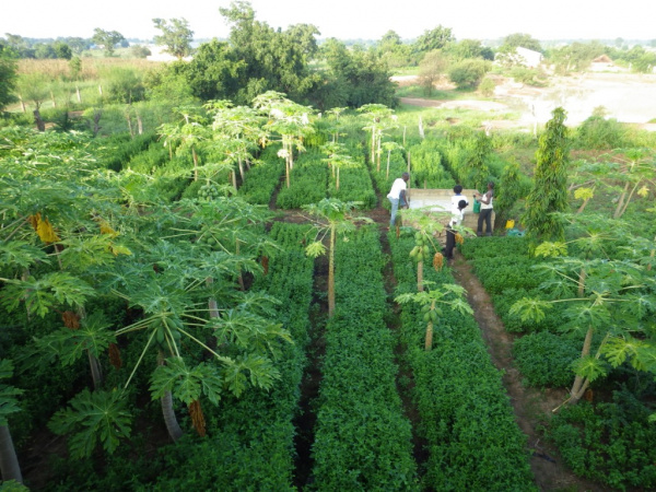 La préfecture d’Agoè-Nivé va se doter d’un centre agro-écologique, avec l’appui de la BB Lomé