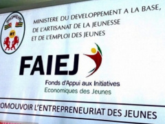 Togo To Transfer Youth Entrepreneurship Fund To SME Agency