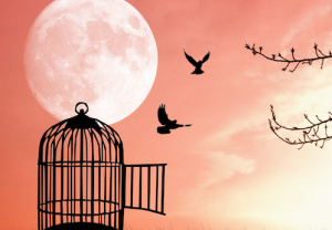 454 d&eacute;tenus b&eacute;n&eacute;ficient de la gr&acirc;ce pr&eacute;sidentielle