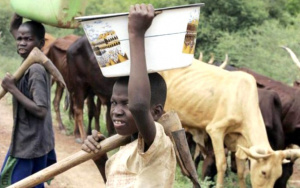 Les conflits entre agriculteurs et &eacute;leveurs s&rsquo;invitent au Sommet conjoint Cedeao-Ceeac