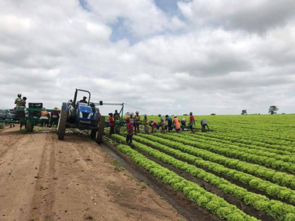 Les PPP vont être au cœur du développement des zones de transformation agricole