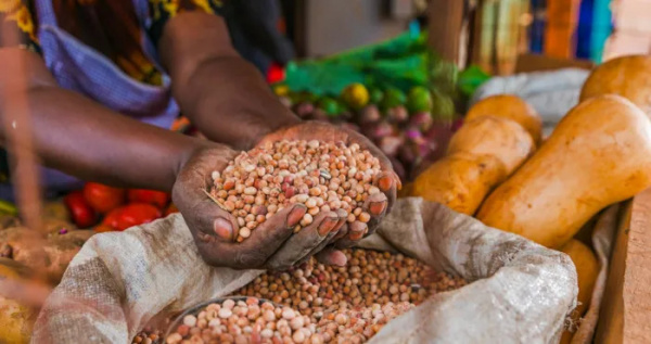 Sécurité Alimentaire : les experts d&#039;Afrique de l&#039;Ouest font le point à Lomé