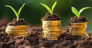 Togo Approves New Climate Finance Fund