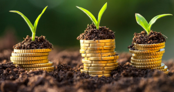 Togo Approves New Climate Finance Fund