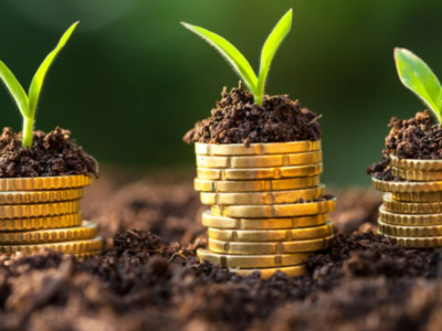 togo-approves-new-climate-finance-fund
