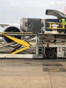 Coronavirus : Le mat&eacute;riel promis par Jack Ma est bien arriv&eacute;