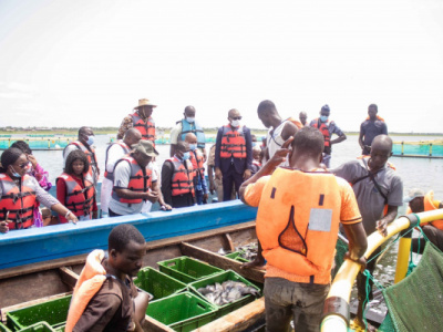 togo-to-dedicate-over-a-billion-cfa-to-fishing-and-aquaculture-in-2023
