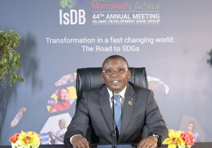 A Marrakech, Sani Yaya appelle la Banque Islamique de D&eacute;veloppement &agrave; soutenir le PND