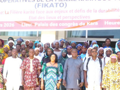 togo-shea-industry-maps-path-to-sustainable-growth-new-governance-body