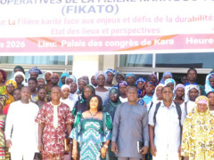 Togo shea industry maps path to sustainable growth, new governance body