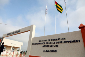 Rentr&eacute;e 2020-2021 : l'IFAD d'ELAVAGNON recrute !