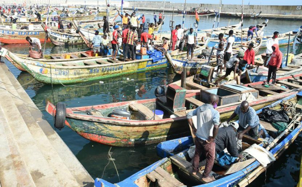 Regional Fisheries Leaders Discuss Data, Infrastructure and Sustainability in Lom&eacute;