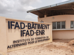 Togo’s Employers’ Council and Lomé’s Work-Study Training Institute may become partners soon