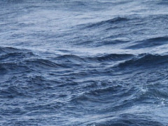 Togo Reaffirms Commitment to &lsquo;Justice and Equity&rsquo; After Ghana Refers Maritime Dispute to Arbitration