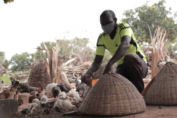 Togo : les éleveurs ont vu leur revenu augmenté de 50% en 10 ans, grâce au PASA 